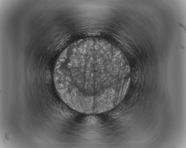 X0000096680704200803041241