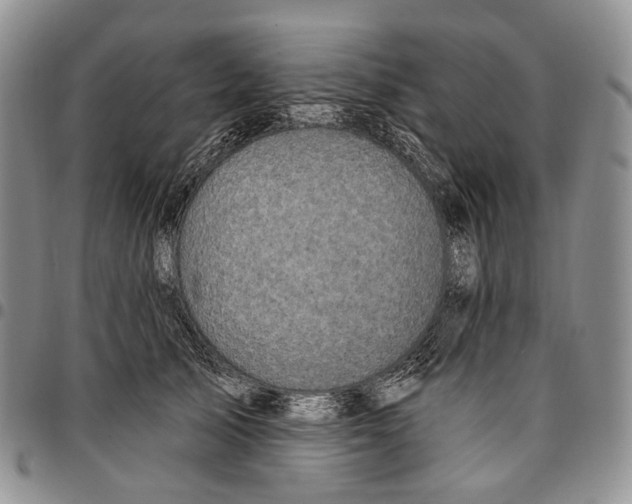 X0000096680705200803041241