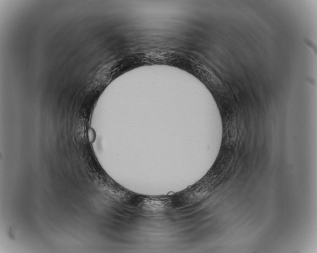 X0000096680706200803041241