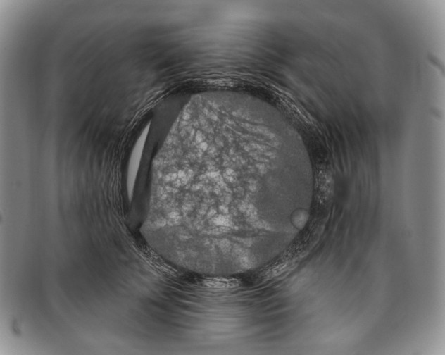 X0000096680707200803041241