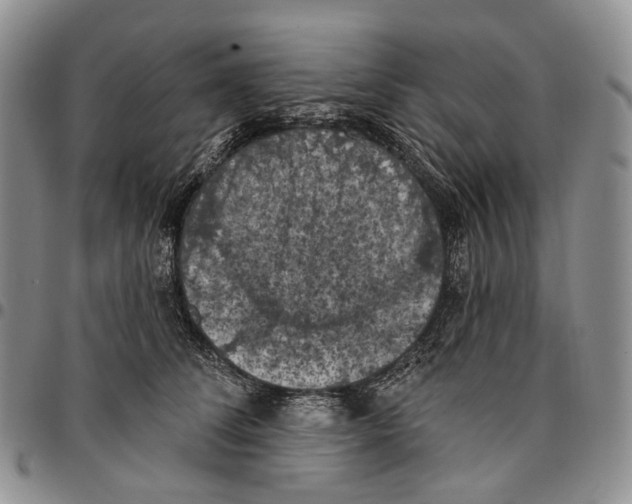 X0000096680708200803041241