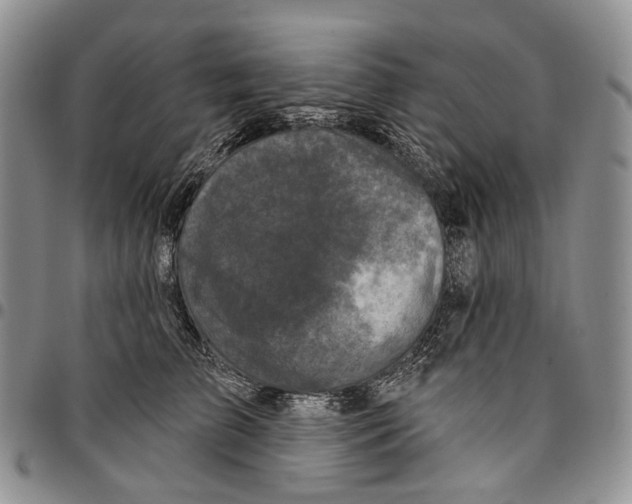 X0000096680709200803041240