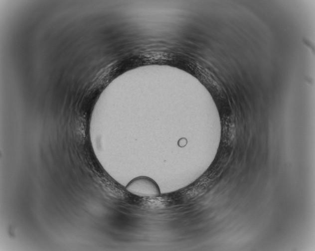 X0000096680710200803041240