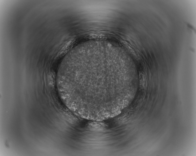 X0000096680712200803041240