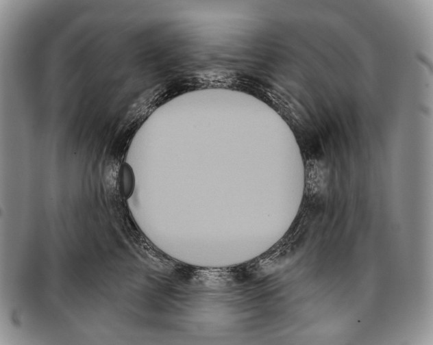 X0000096680713200803041240