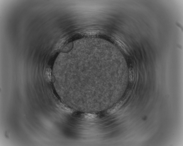 X0000096680718200803041240
