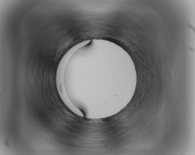 X0000096680720200803041240