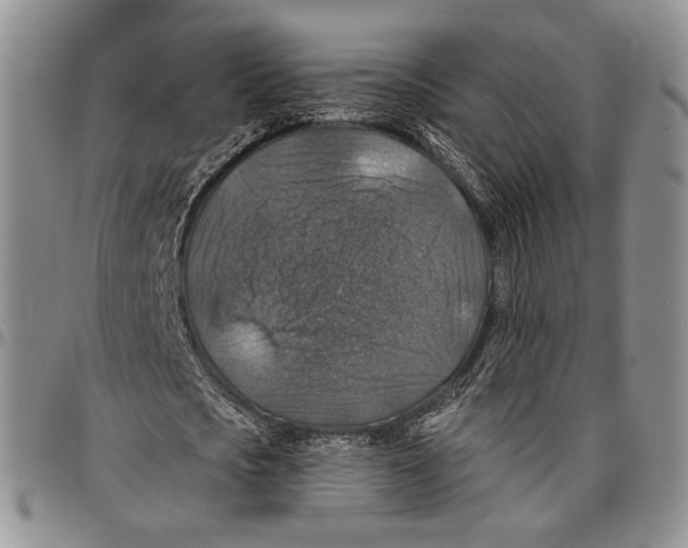 X0000096680721200803041240