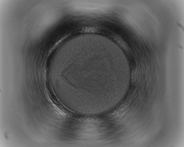 X0000096680722200803041240