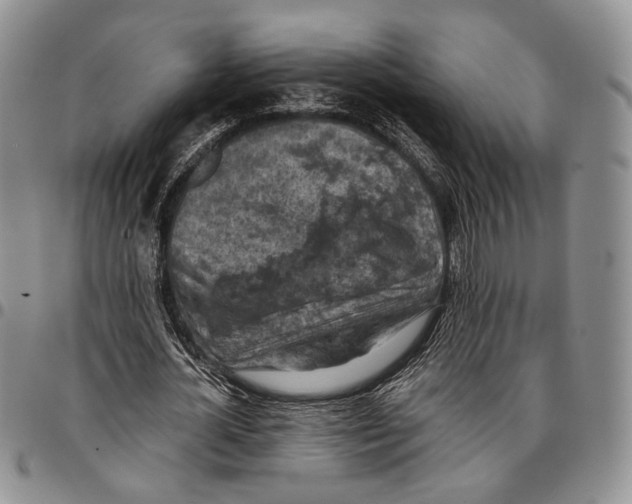 X0000096680724200803041240