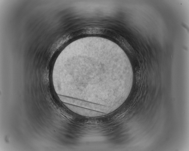 X0000096680727200803041240