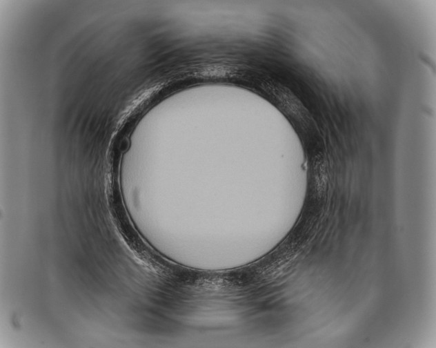 X0000096680728200803041240