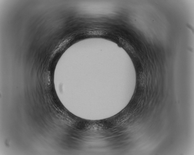 X0000096680731200803041240