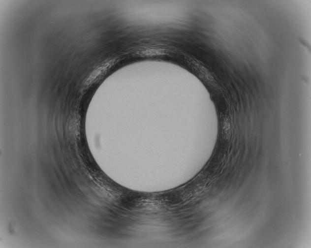 X0000096680732200803041240