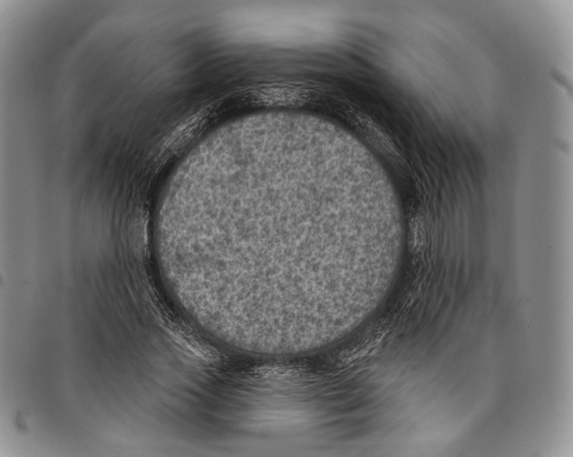 X0000096680733200803041240