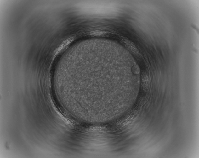 X0000096680734200803041240