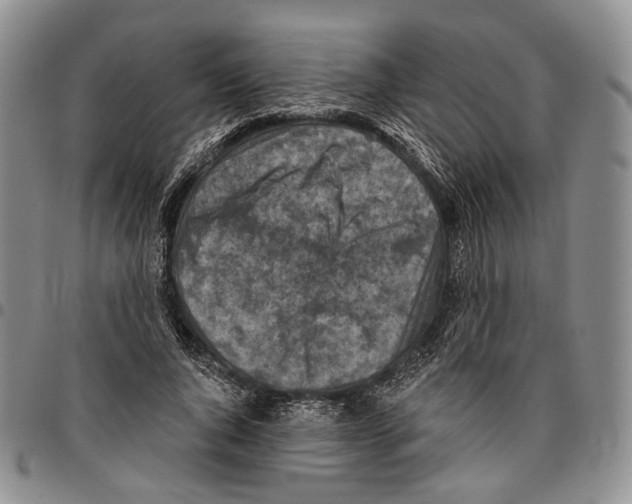 X0000096680736200803041240