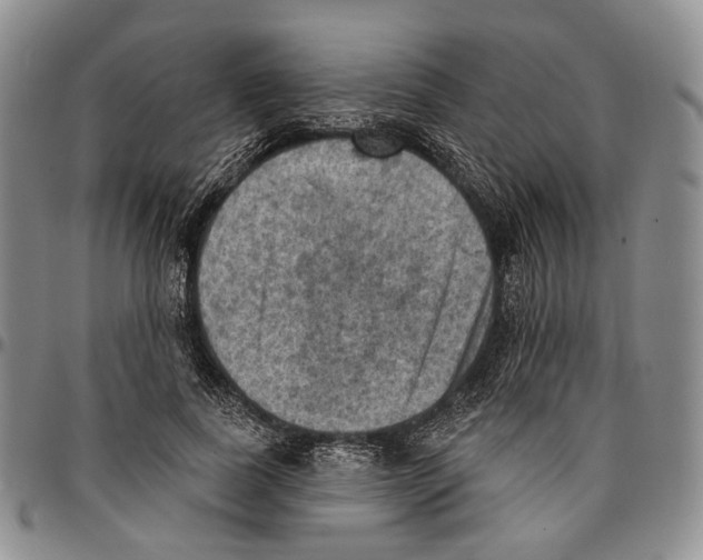 X0000096680739200803041240