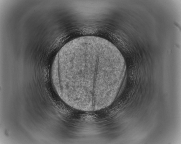 X0000096680743200803041240