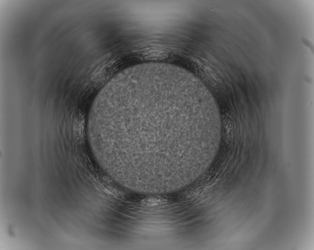 X0000096680745200803041240