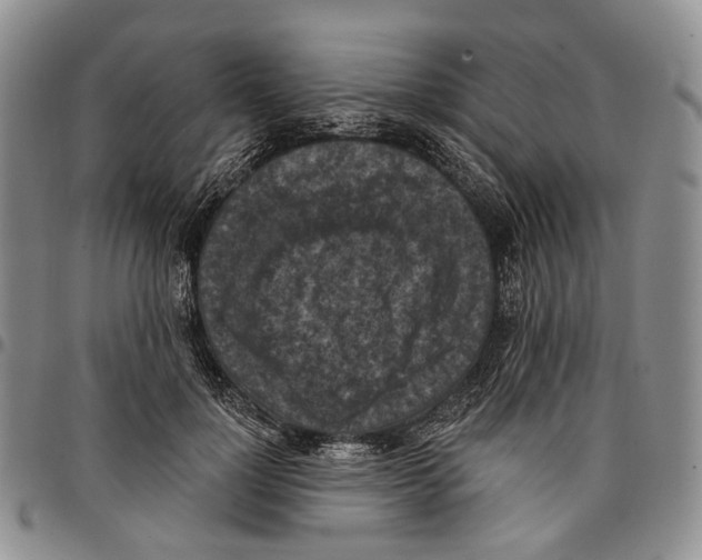 X0000096680748200803041240
