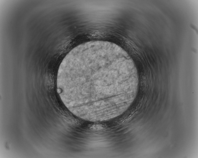 X0000096680751200803041240