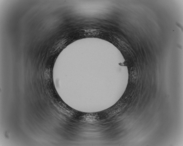 X0000096680756200803041240