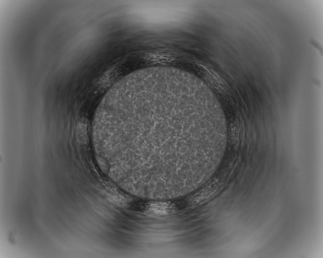 X0000096680757200803041240