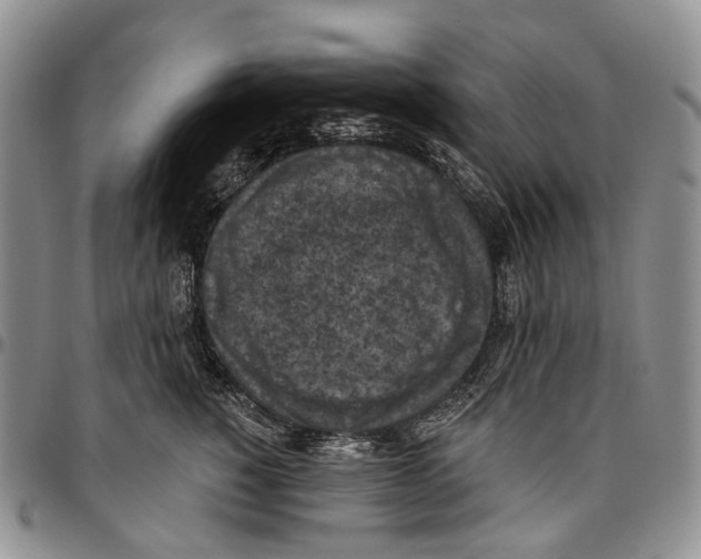X0000096680760200803041240