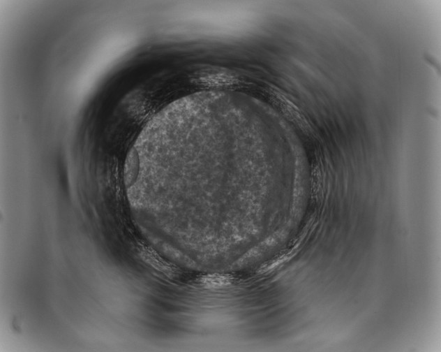 X0000096680762200803041240