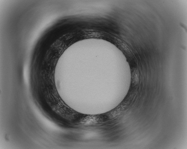 X0000096680764200803041240
