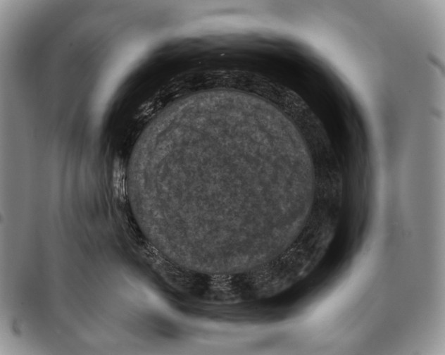 X0000096680766200803041240