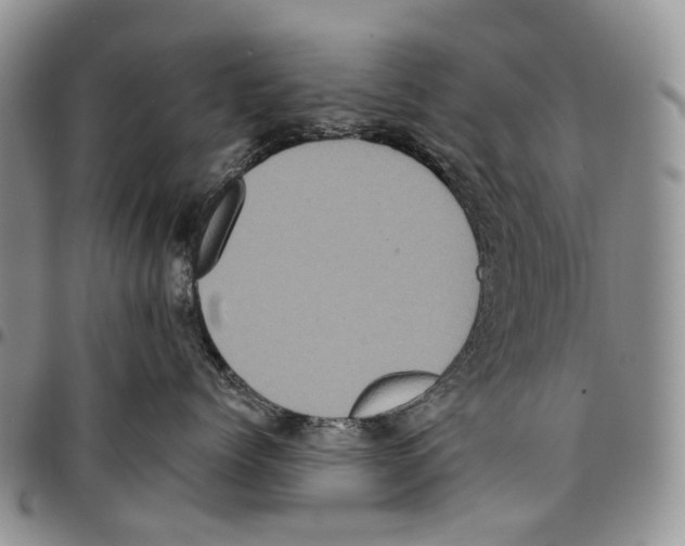 X0000096680768200803041240