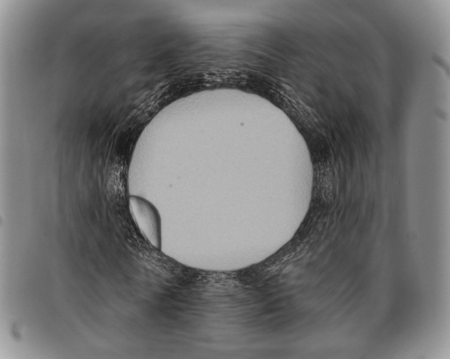 X0000096680770200803041240
