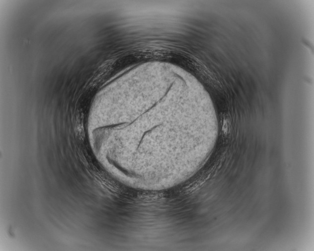 X0000096680771200803041240