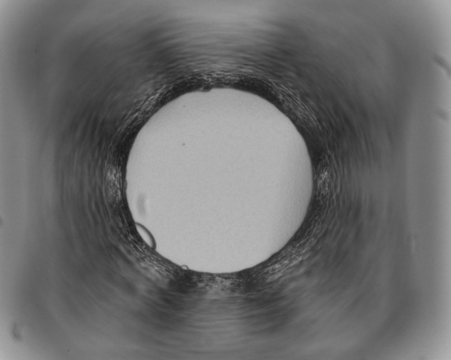 X0000096680772200803041240