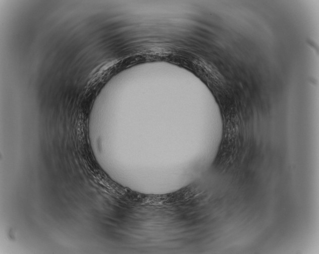 X0000096680773200803041240