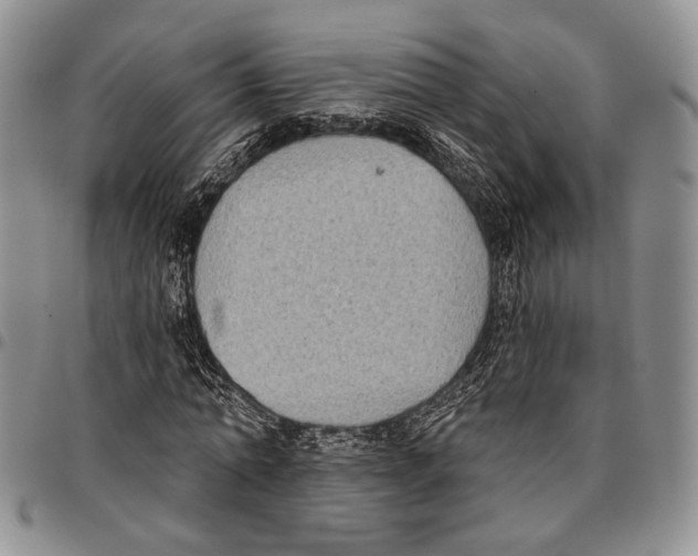 X0000096680774200803041240