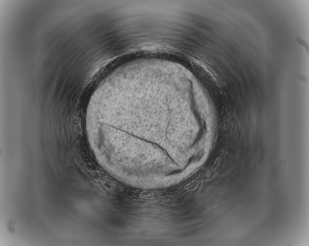 X0000096680776200803041240