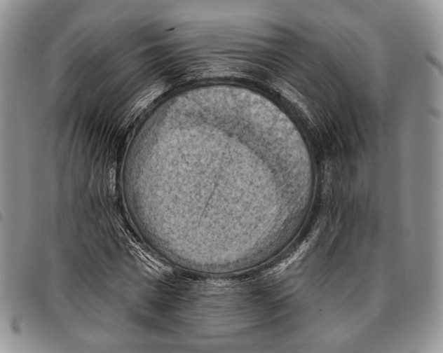 X0000096680777200803041240