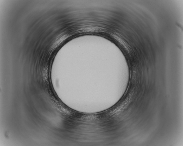 X0000096680778200803041240