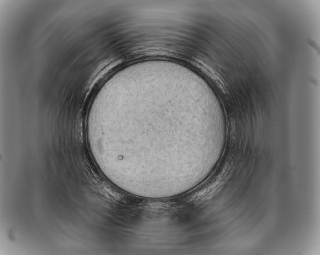 X0000096680782200803041240