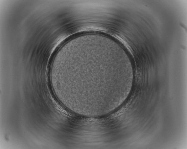 X0000096680783200803041239