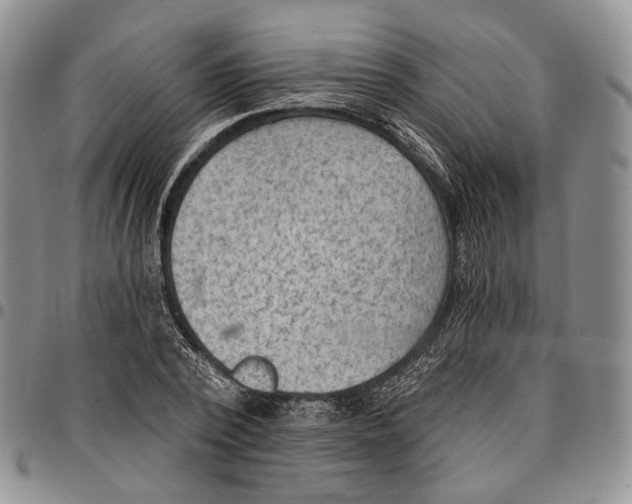 X0000096680784200803041239
