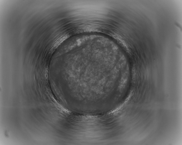 X0000096680785200803041239