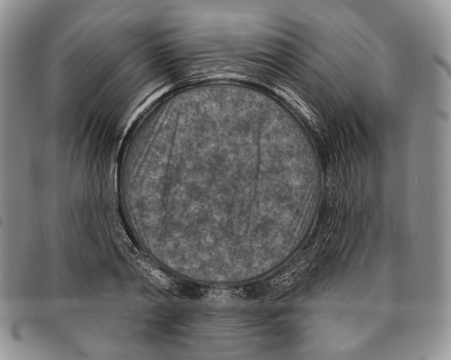 X0000096680790200803041239