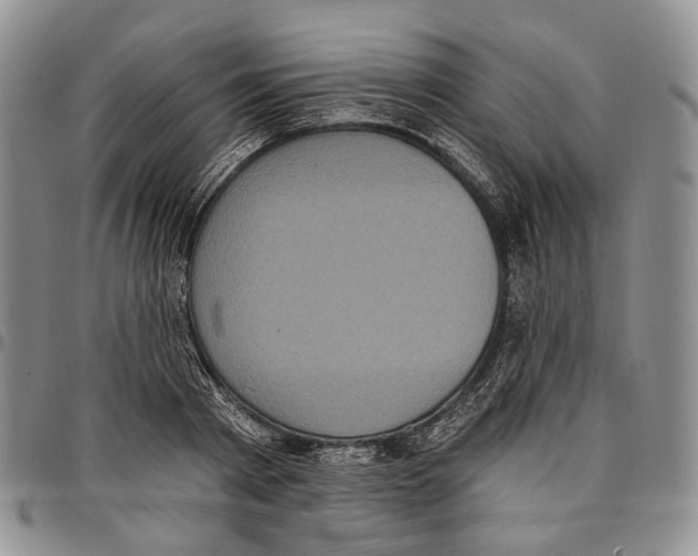 X0000096680793200803041239