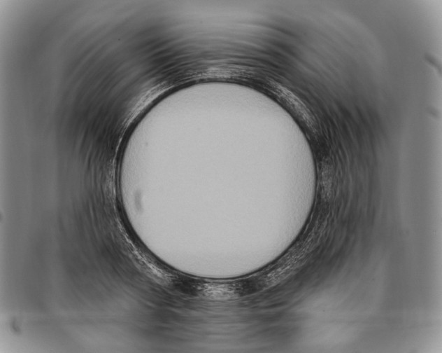 X0000096680794200803041239