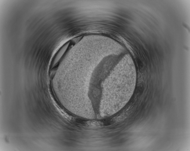 X0000096680795200803041239