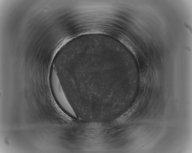 X0000096680797200803041239